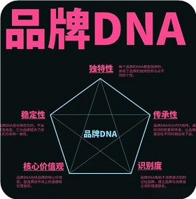 品牌DNA解析